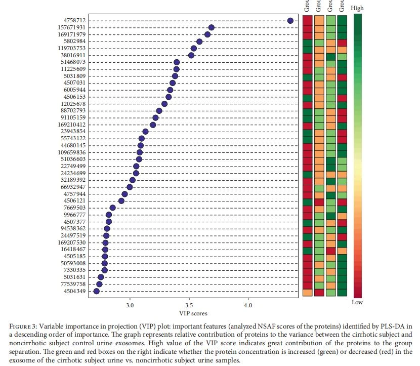 Variable importance in projection (VIP) plot: important features (analyzed NSAF scores of the proteins) identified by PLS-DA in a descending order of importance. *e graph represents relative contribution of proteins to the variance between the cirrhotic subject and noncirrhotic subject control urine exosomes.