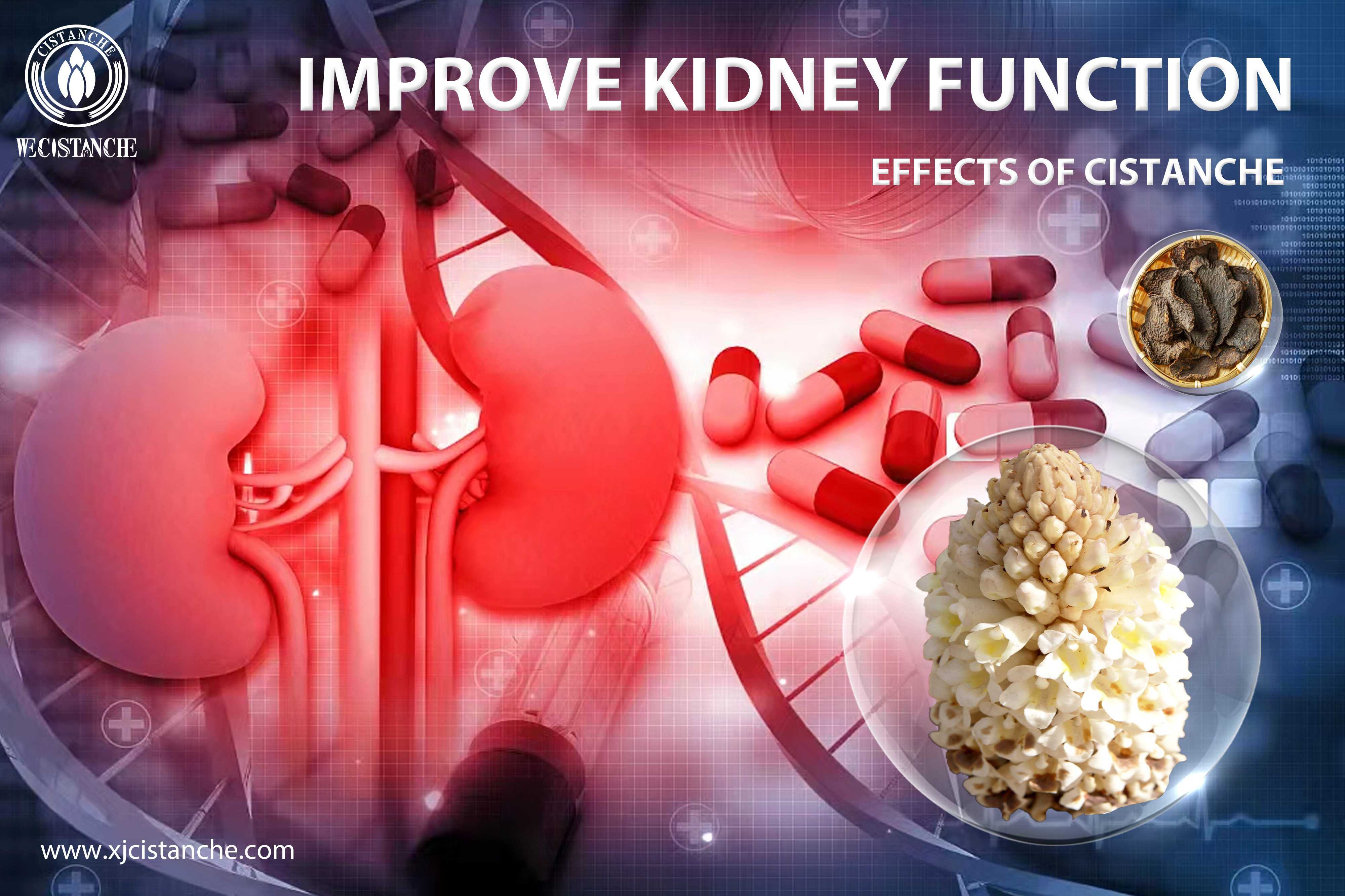 treatment of chronic kidney disease,Cistanche