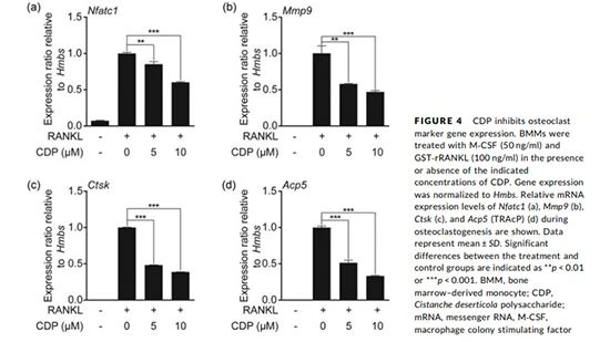 figure 4 figure 4