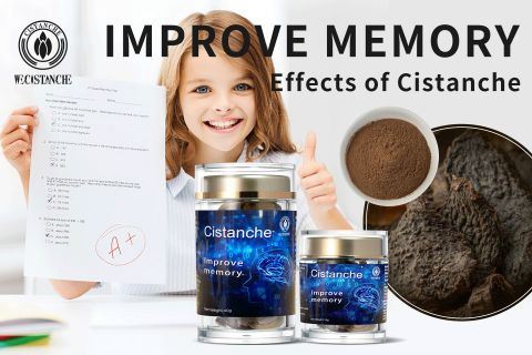Cistanche-improve memory12 Cistanche-improve memory12