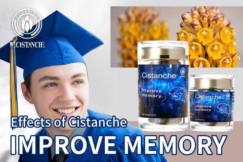 Cistanche-improve memory4 Cistanche-improve memory4