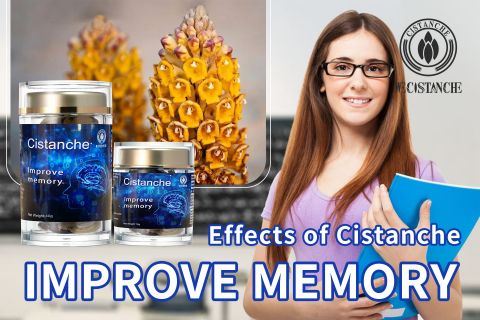 Cistanche-improve memory7 Cistanche-improve memory7