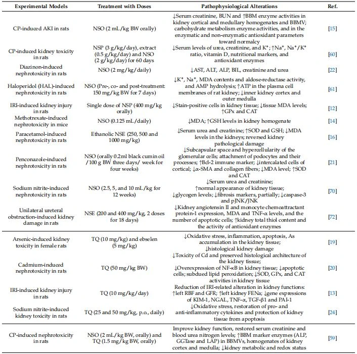 AKI, Acute kidney injury; ALP, Alkaline phosphatase; ALT, Alanine aminotransferase; AMP, Activated protein kinase; AST, Aspartate aminotransferase; ATP, Adenosine triphosphate, As, Arsenic; BBM, Brush border membrane; BBMV, Brush border membrane vesicle; BIL, Bilirubin; BUN, Blood urea nitrogen; Bcl-2, B-cell lymphoma 2; CAT, Catalase; CCl4, Carbon tetrachloride; CKD, Chronic kidney disease; CP, Cisplatin; Cd, Cadmium; FENa, Fractional excretion of sodium; GFR, Growth factor receptor; GGTase, Geranylgeranyltransferase; GPx, Glutathione peroxidase; GSH, Glutathione; IRI–Ischemia-reperfusion injury; JNK, c-Jun N-terminal kinases; KIM-1, Kidney injury molecule- 1; LAP, latency-associated peptide; MDA, Malondialdehyde; NF-κB, Nuclear factor kappa B; NGAL, Neutrophil gelatinase-associated lipocalin; NSO, N. sativa oil; NSP, N. sativa seed powder; NSE, N. sativa seed extract; pJNK, Phosphorylated c-Jun N-terminal kinase; PAI-1, plasminogen activator inhibitor-1; RBF, Renal blood flow; SOD, Superoxide dismutase; TGF-β1, Transforming growth factor beta 1; TNF-α, Tumor necrosis factor alpha; TQ, Thymoquinone; α-SMA, Smooth muscle alpha-actin. AKI, Acute kidney injury; ALP, Alkaline phosphatase; ALT, Alanine aminotransferase; AMP, Activated protein kinase; AST, Aspartate aminotransferase; ATP, Adenosine triphosphate, As, Arsenic; BBM, Brush border membrane; BBMV, Brush border membrane vesicle; BIL, Bilirubin; BUN, Blood urea nitrogen; Bcl-2, B-cell lymphoma 2; CAT, Catalase; CCl4, Carbon tetrachloride; CKD, Chronic kidney disease; CP, Cisplatin; Cd, Cadmium; FENa, Fractional excretion of sodium; GFR, Growth factor receptor; GGTase, Geranylgeranyltransferase; GPx, Glutathione peroxidase; GSH, Glutathione; IRI–Ischemia-reperfusion injury; JNK, c-Jun N-terminal kinases; KIM-1, Kidney injury molecule- 1; LAP, latency-associated peptide; MDA, Malondialdehyde; NF-κB, Nuclear factor kappa B; NGAL, Neutrophil gelatinase-associated lipocalin; NSO, N. sativa oil; NSP, N. sativa seed powder; NSE, N. sativa seed extract; pJNK, Phosphorylated c-Jun N-terminal kinase; PAI-1, plasminogen activator inhibitor-1; RBF, Renal blood flow; SOD, Superoxide dismutase; TGF-β1, Transforming growth factor beta 1; TNF-α, Tumor necrosis factor alpha; TQ, Thymoquinone; α-SMA, Smooth muscle alpha-actin.