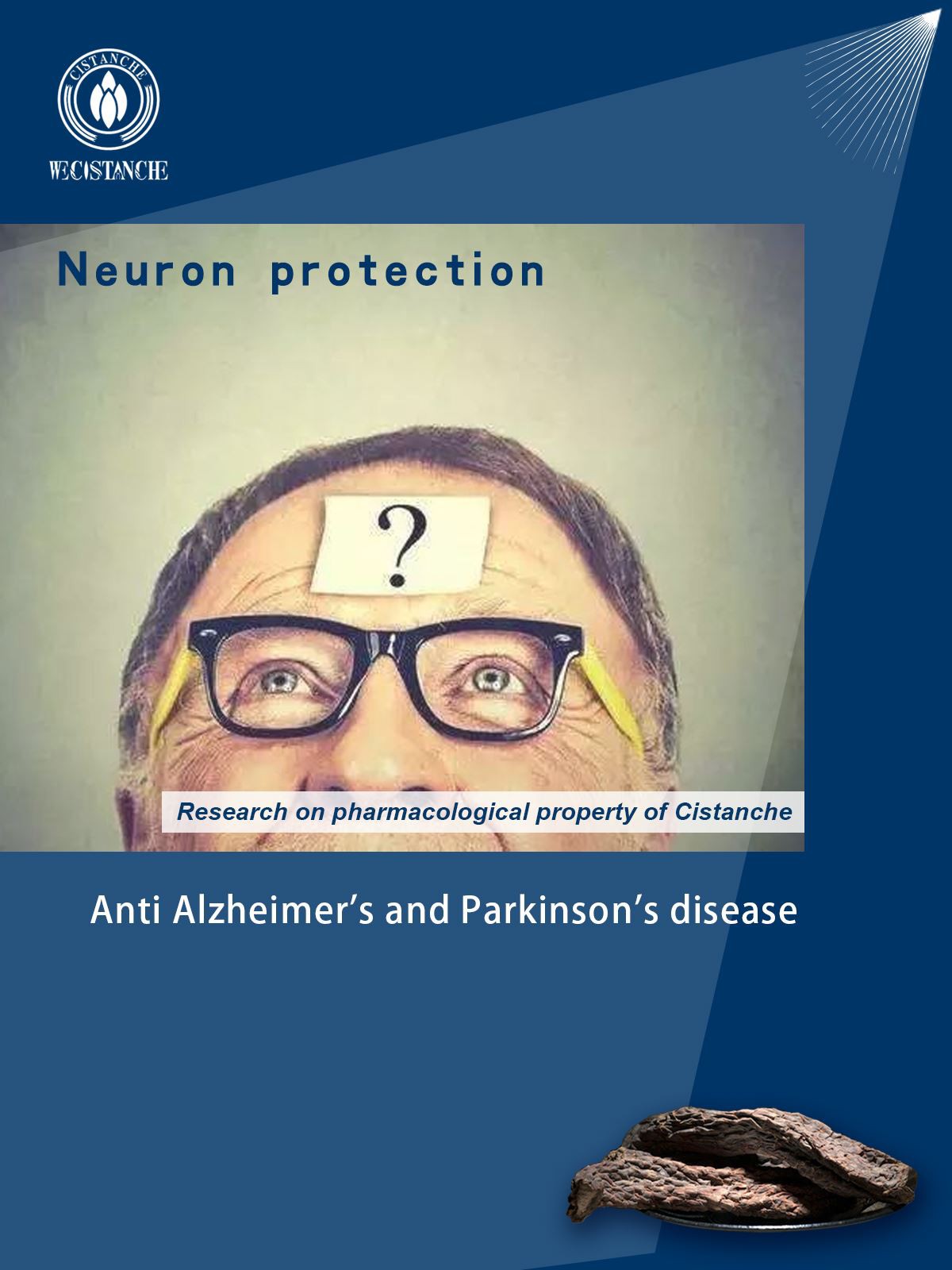 neuroprotective effects of cistanche