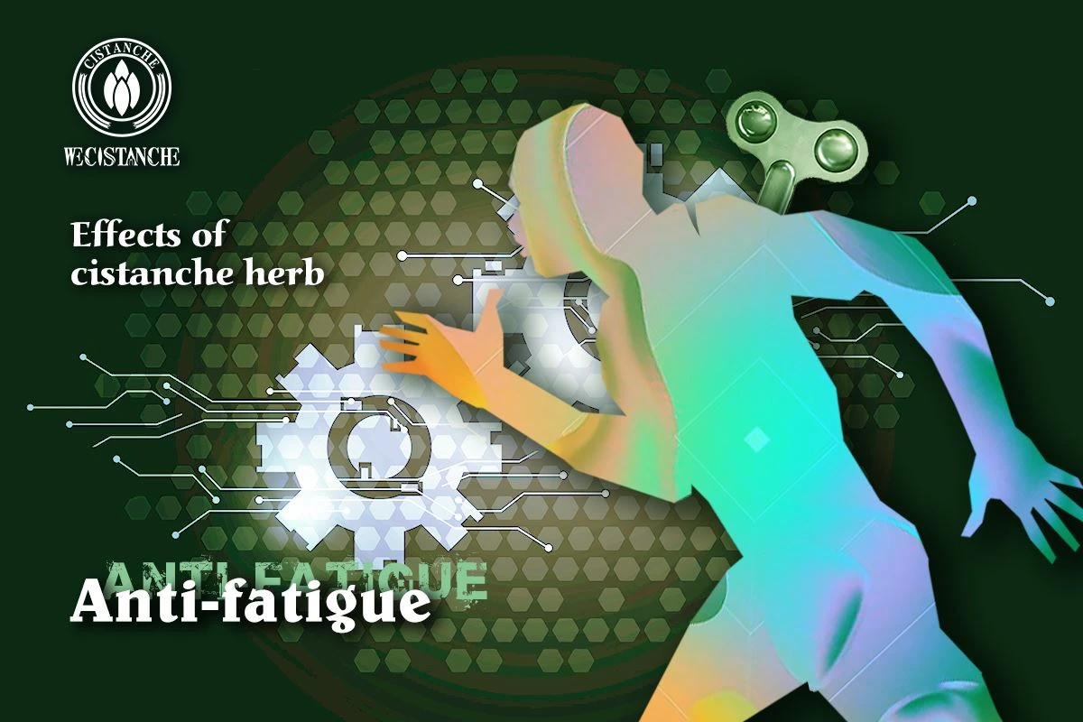 Anti-fatigue Anti-fatigue