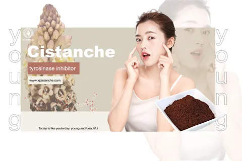 anti aging4