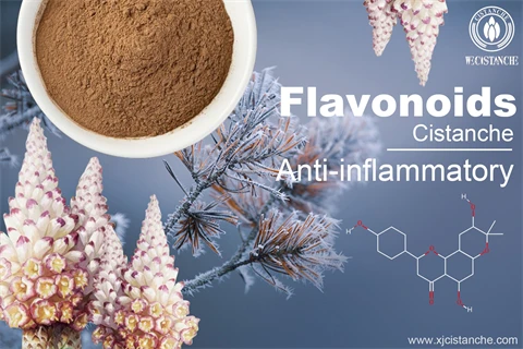 flavonoids supplements