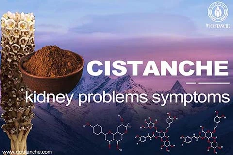best chinese medecine for renal failure best chinese medecine for renal failure