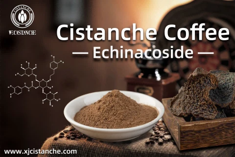 Cistanche extract