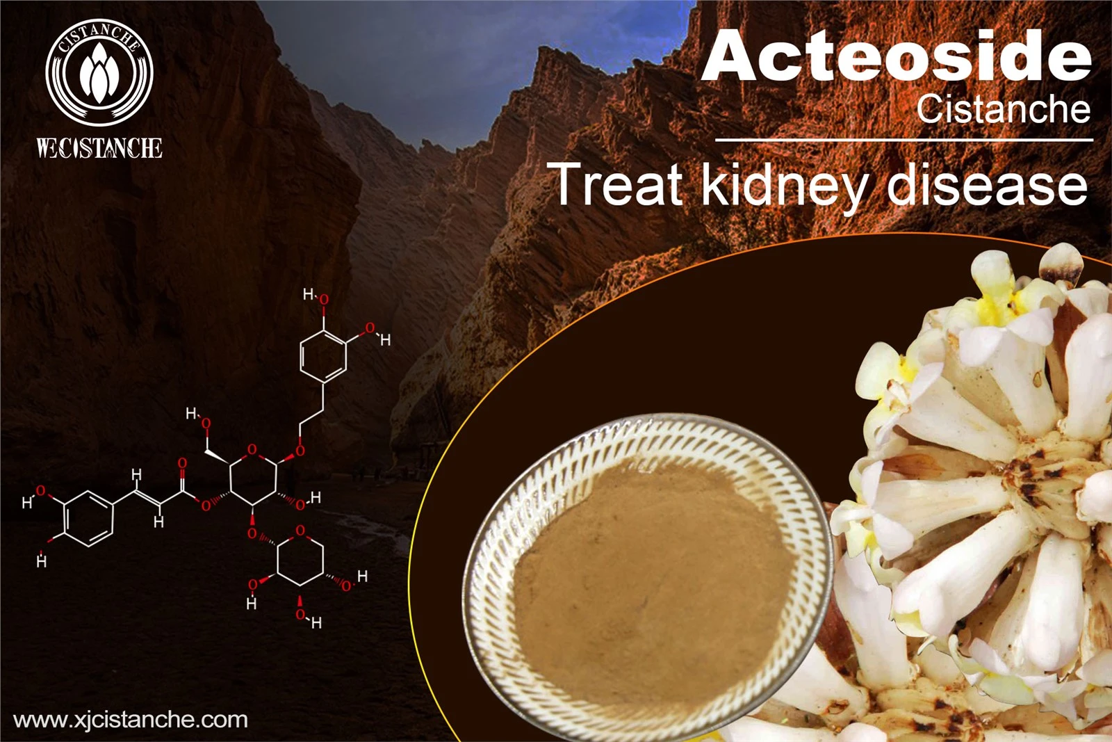 treat kidney disease treat kidney disease