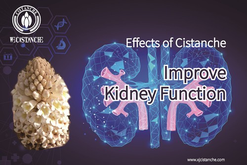 improve kidney function