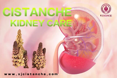 Cistanche benefits Cistanche benefits