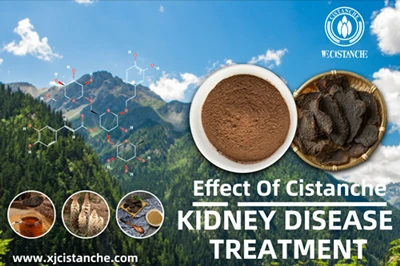 Cistanche benefits Cistanche benefits
