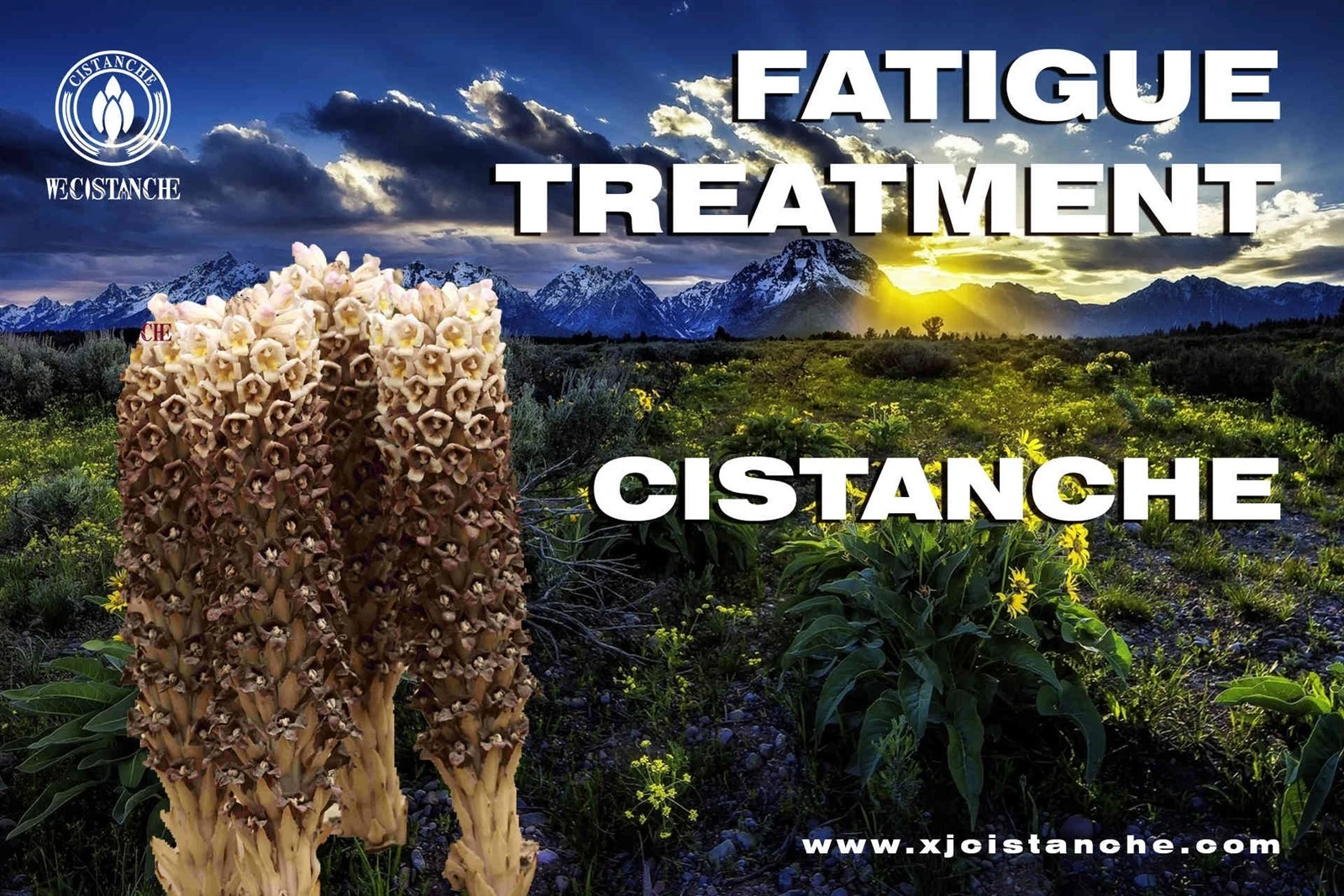 fatigue (2) fatigue (2)