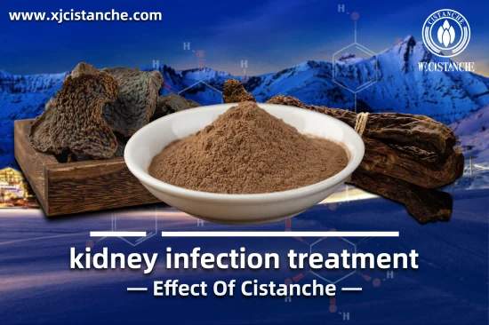 TOP QUALITY CISTANCHE FOR PENIS GROWTH TOP QUALITY CISTANCHE FOR PENIS GROWTH