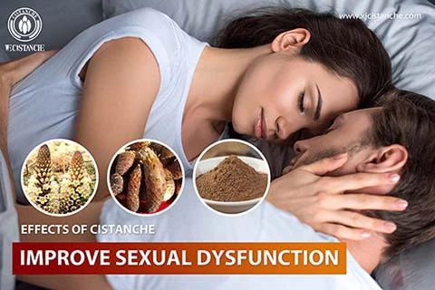 TOP QUALITY CISTANCHE FOR PENIS GROWTH TOP QUALITY CISTANCHE FOR PENIS GROWTH