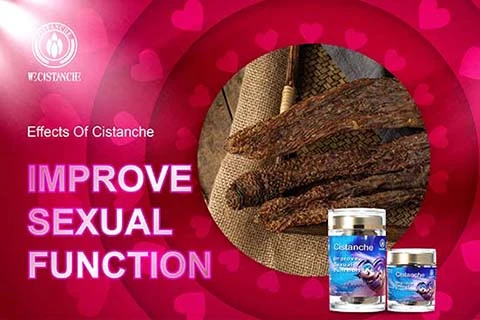 TOP QUALITY CISTANCHE FOR PENIS GROWTH TOP QUALITY CISTANCHE FOR PENIS GROWTH