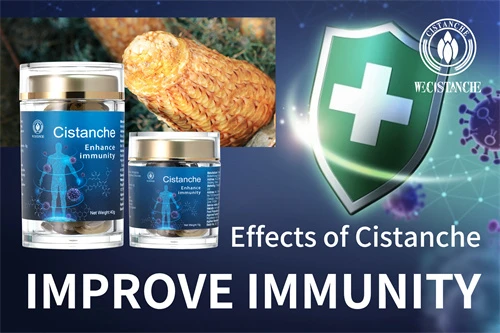 Desert ginseng—Improve immunity (16)