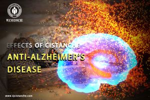 memory enhancement memory enhancement