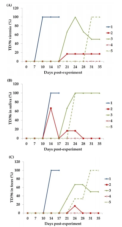 Figure 2. Number (percentage) of piglets positive for TD/96 as detected through QRRT-PCR [20] of the (A) blood, (B) saliva, and (C) feces of the piglets in each group during the experimental period. The Group 1 piglet was inoculated ironically with TD/96 at 7 DPE and served as the CSFV donor (i.e., primary invader) for Groups 2 and 3. The piglets in Group 2 that underwent LPC vaccination at 0 DPE and those in Group 3 that did not undergo LPC vaccination cohabited with the Group 1 piglet from 7–17 DPE. The piglets in Groups 4 and 5 cohabited with those in Groups 2 and 3 (i.e., secondary invaders), respectively, from 17–36 DPE.