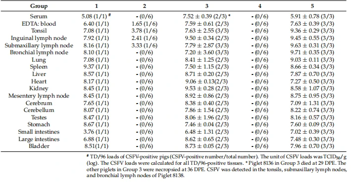 Table 2. CSFV loads detected in various tissues of the piglets through CSFV QRRT-PCR