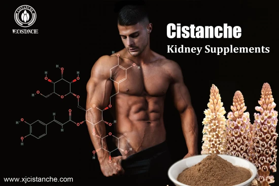 cistanche benefits for kidney function cistanche benefits for kidney function