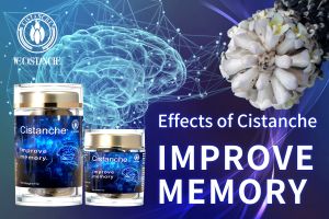 improve brain improve brain