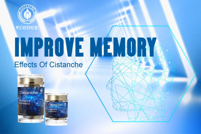 cistanche tubulosa for improving memory and cognitive health