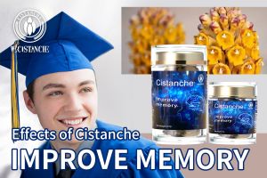 improve short term memory improve short term memory