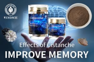 improve your memory improve your memory
