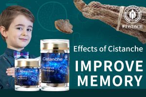 ways to improve memory ways to improve memory