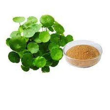 Pudră de extract de Centella Asiatica