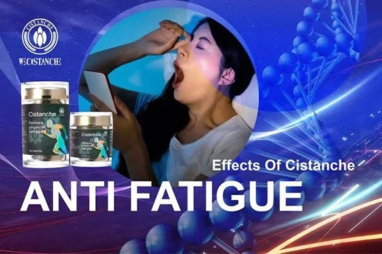 effects of cistanche-anti fatigue 3 effects of cistanche-anti fatigue 3