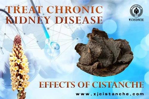 treat chronic kidney disease treat chronic kidney disease