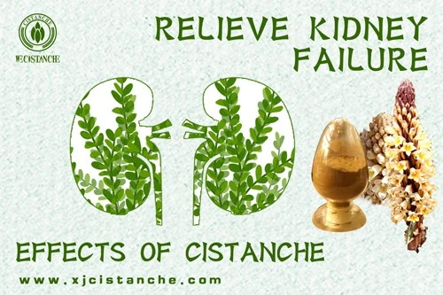 relieve kidney failure relieve kidney failure