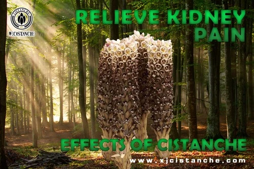 relieve kidney pain relieve kidney pain