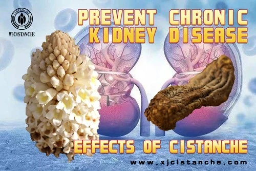 prevenet chronic kidney disease prevenet chronic kidney disease